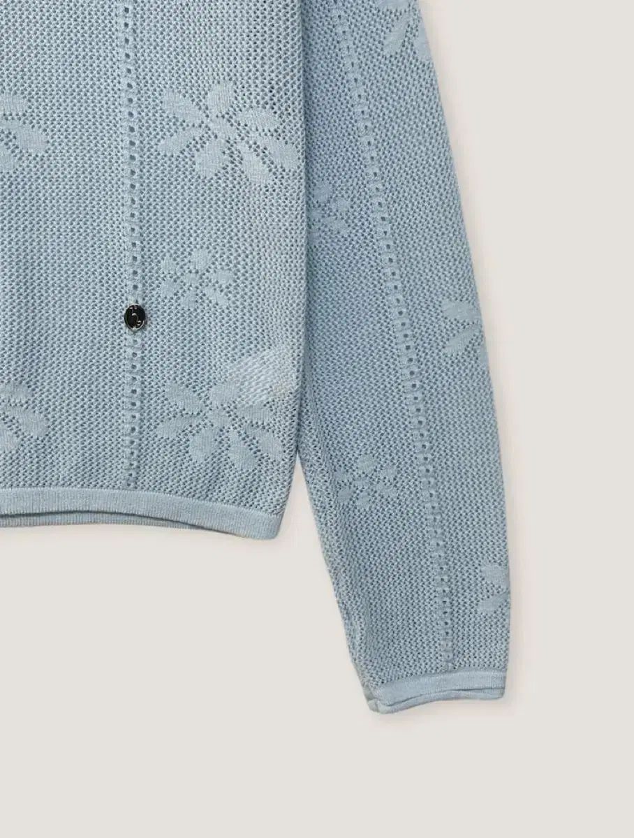 プラムバゴニット