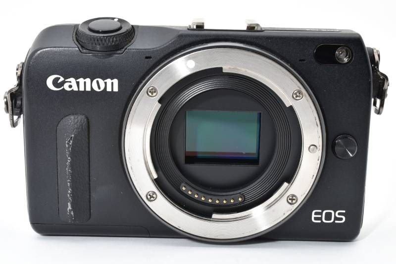 ボディ ブラック