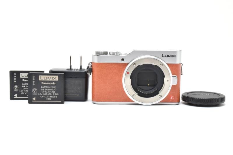 Panasonic LUMIX DC-GF9 Digital Camera A