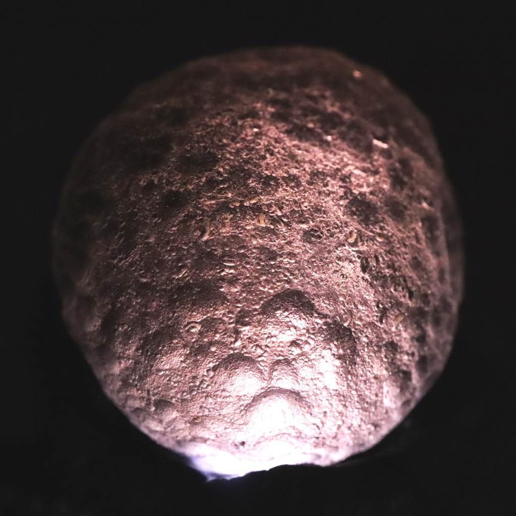 コロンビアナイト 原石 14.19g 榎本通商96818