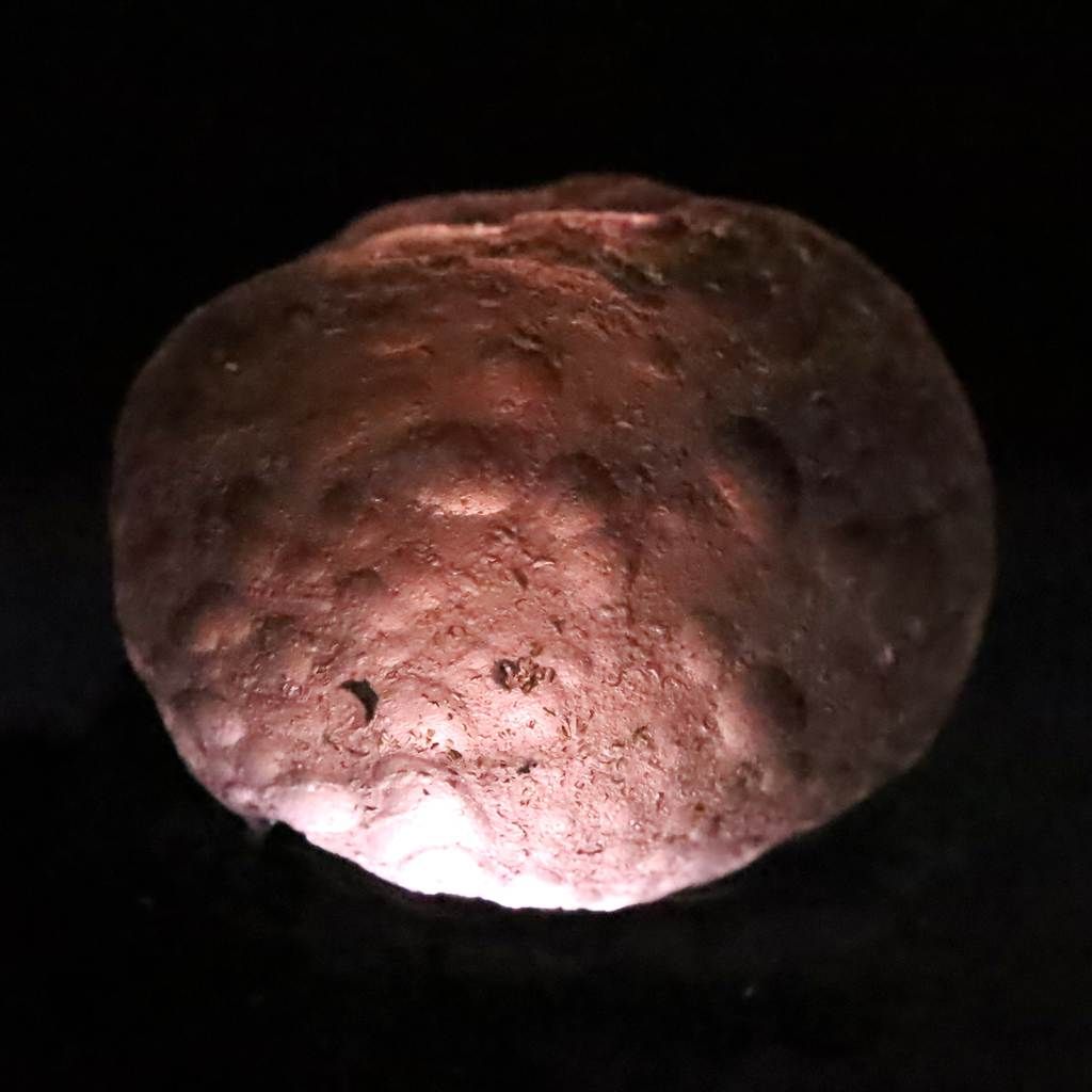 コロンビアナイト 原石 14.69g 榎本通商80315