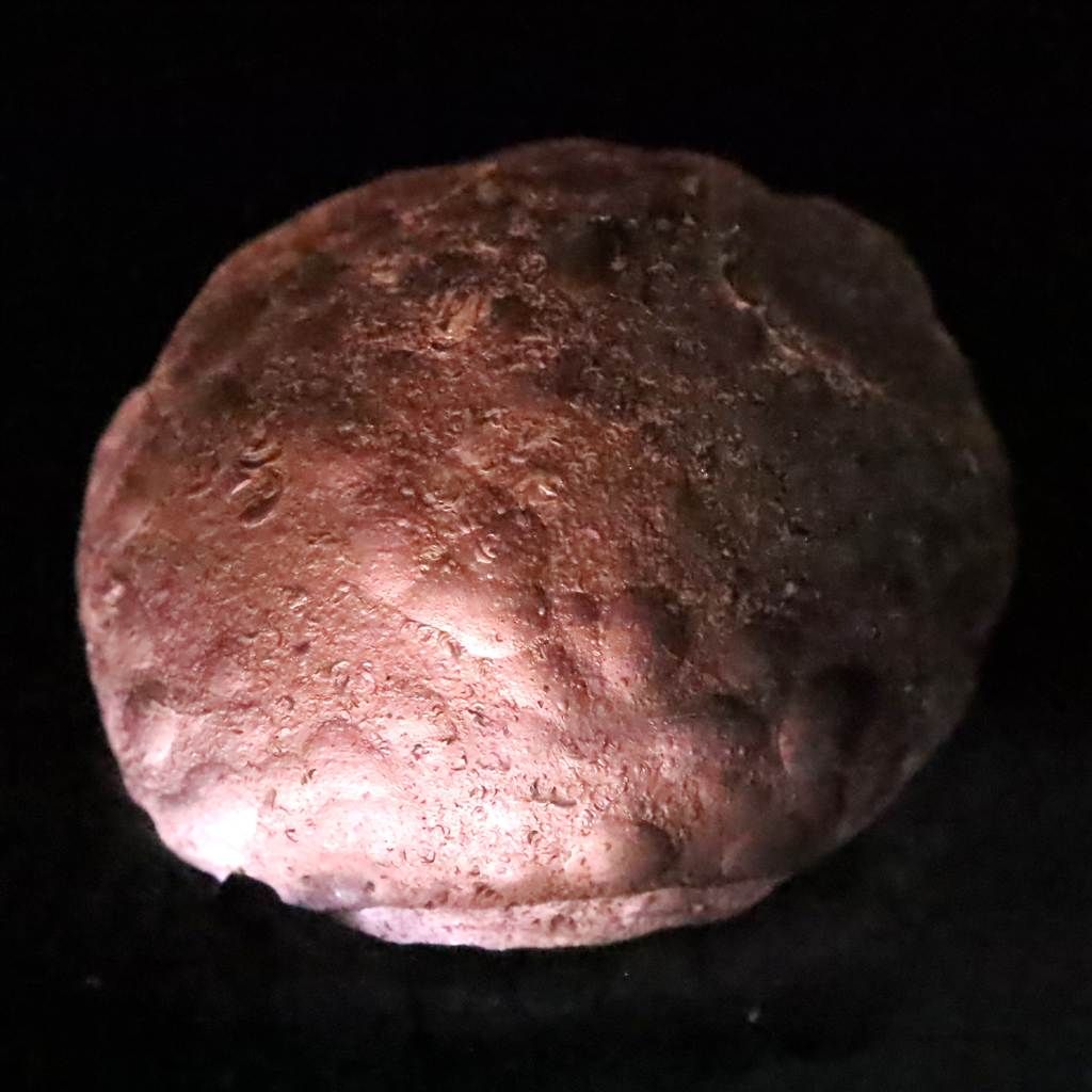 コロンビアナイト 原石 14.69g 榎本通商80315