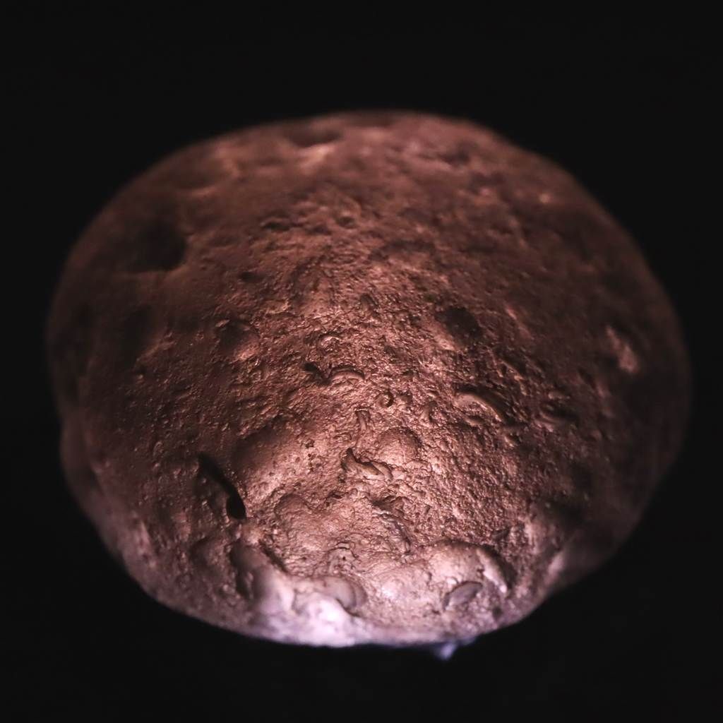 コロンビアナイト 原石 16.95g 榎本通商86536 FORTGASGNV_COM_BR