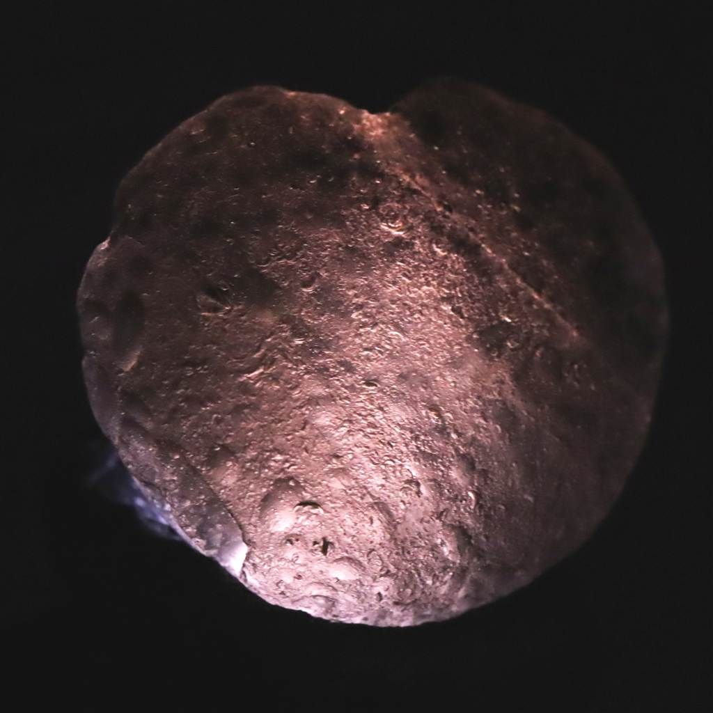 コロンビアナイト 原石 17.79g 榎本通商43346