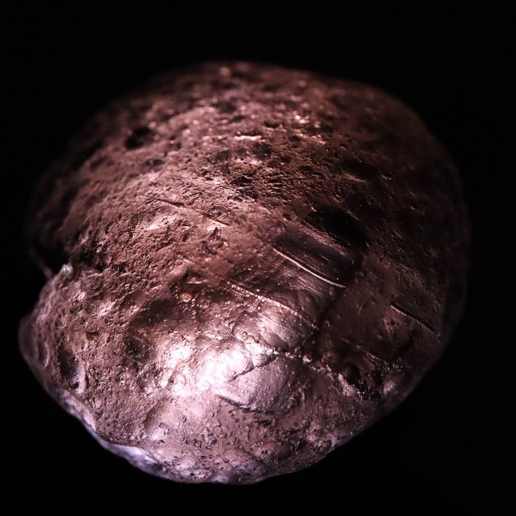 17.79g 榎本通商43346