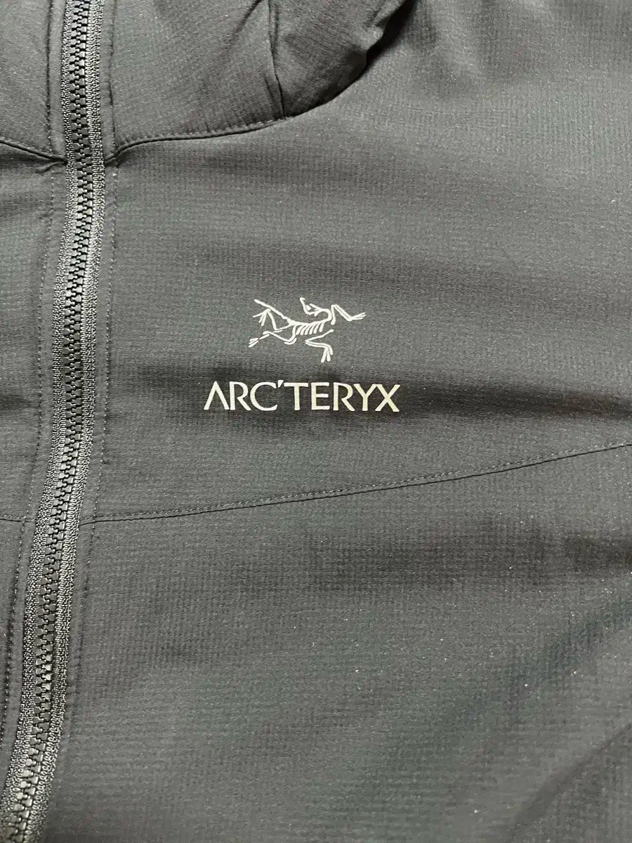 ARC TERYX アークテリクス フード ジャケット