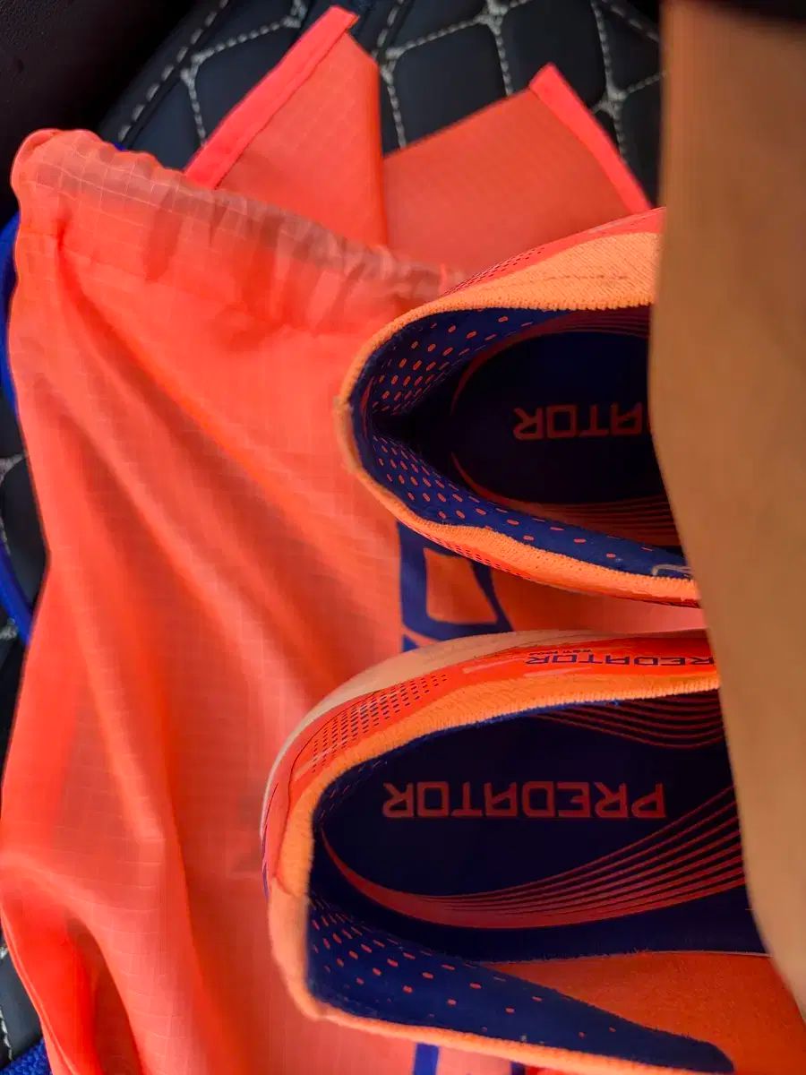 プレデター エリート