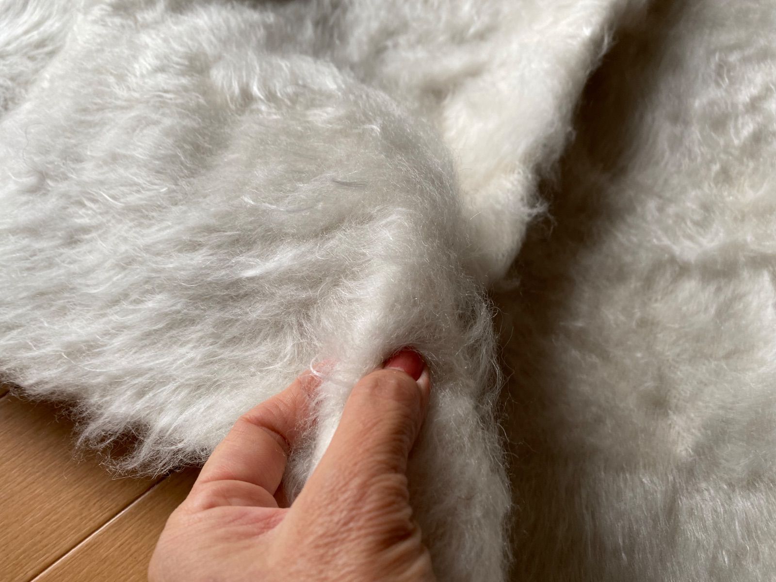 現地トルコのシイルトから直輸入 卸売価格