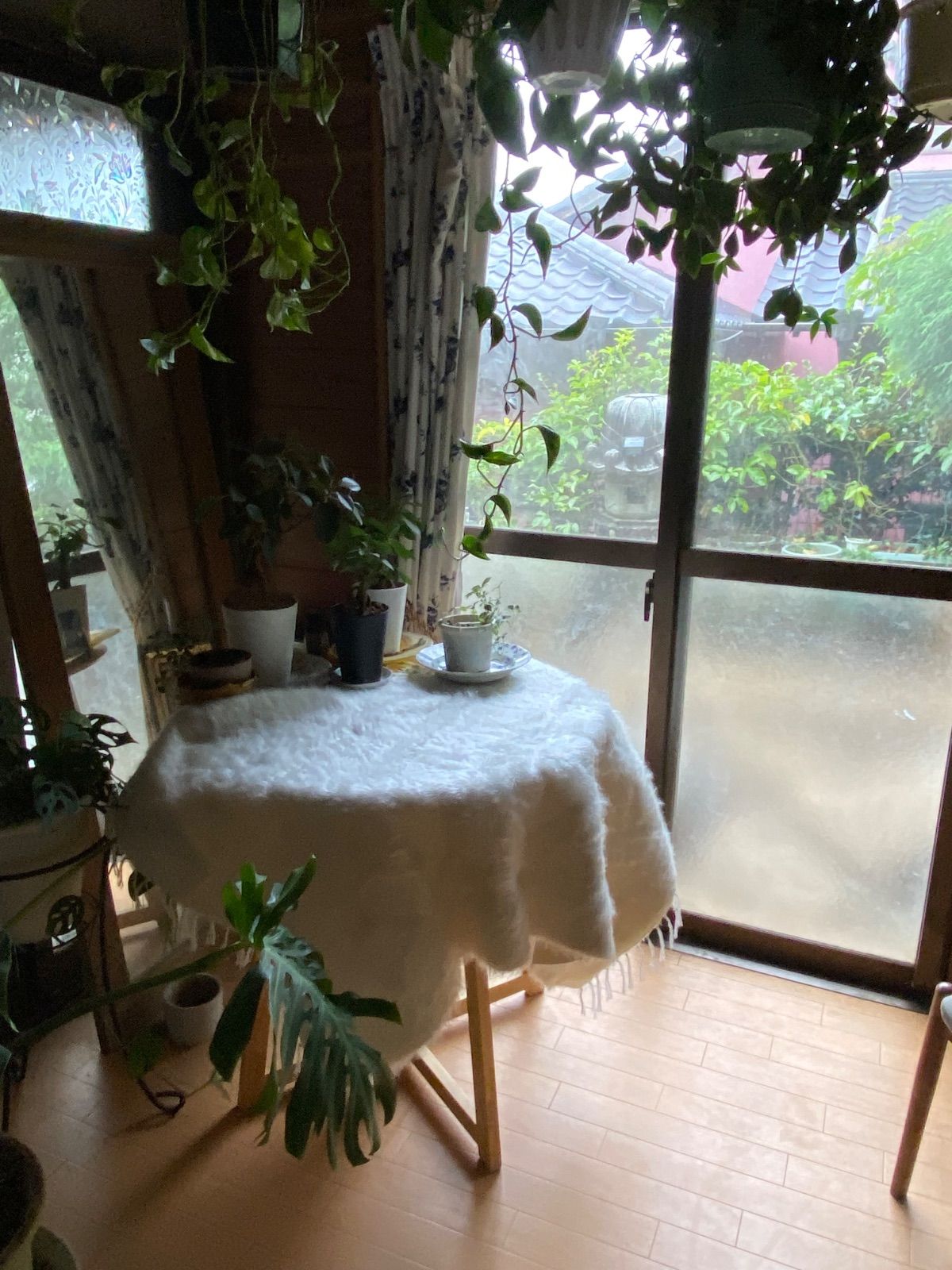 白い無地のバッタニイェお早めに とにかく便利で暖かい