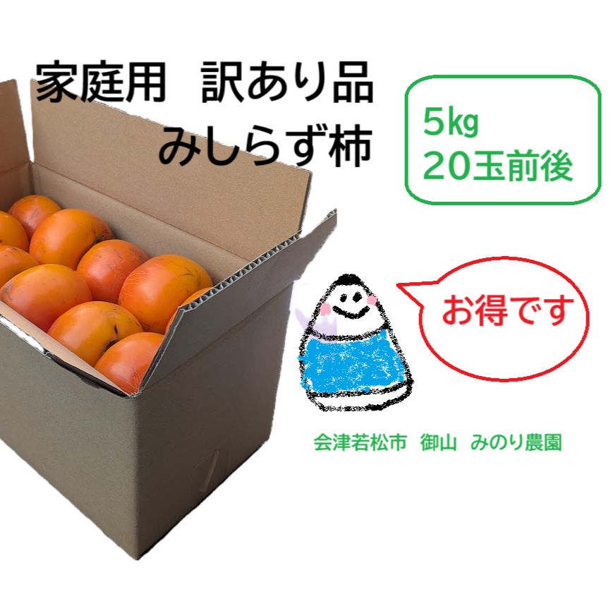 みしらず柿 家庭用訳あり品 約5kg 皇室献上柿産地 - メルカリ