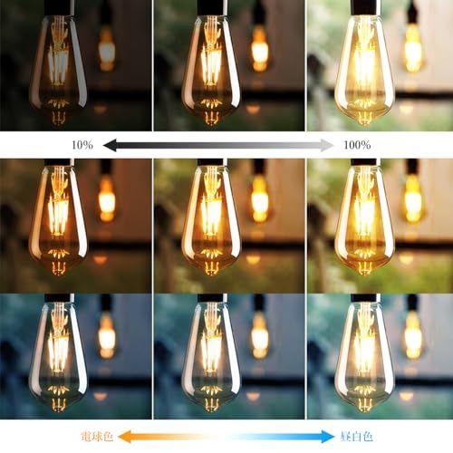 LVWIT ダクトレールライト LEDスポットライト E26口金 LED電球付き 調光調色 消費電力6W 60W形相当 遠隔操作 エジソン電球 ライティングレール 天井照明 角度調節 昼光色 昼白色 電球色 常夜灯 レトロ リモ 0154d1fc WWW_OPDRERGINERDOGAN_COM