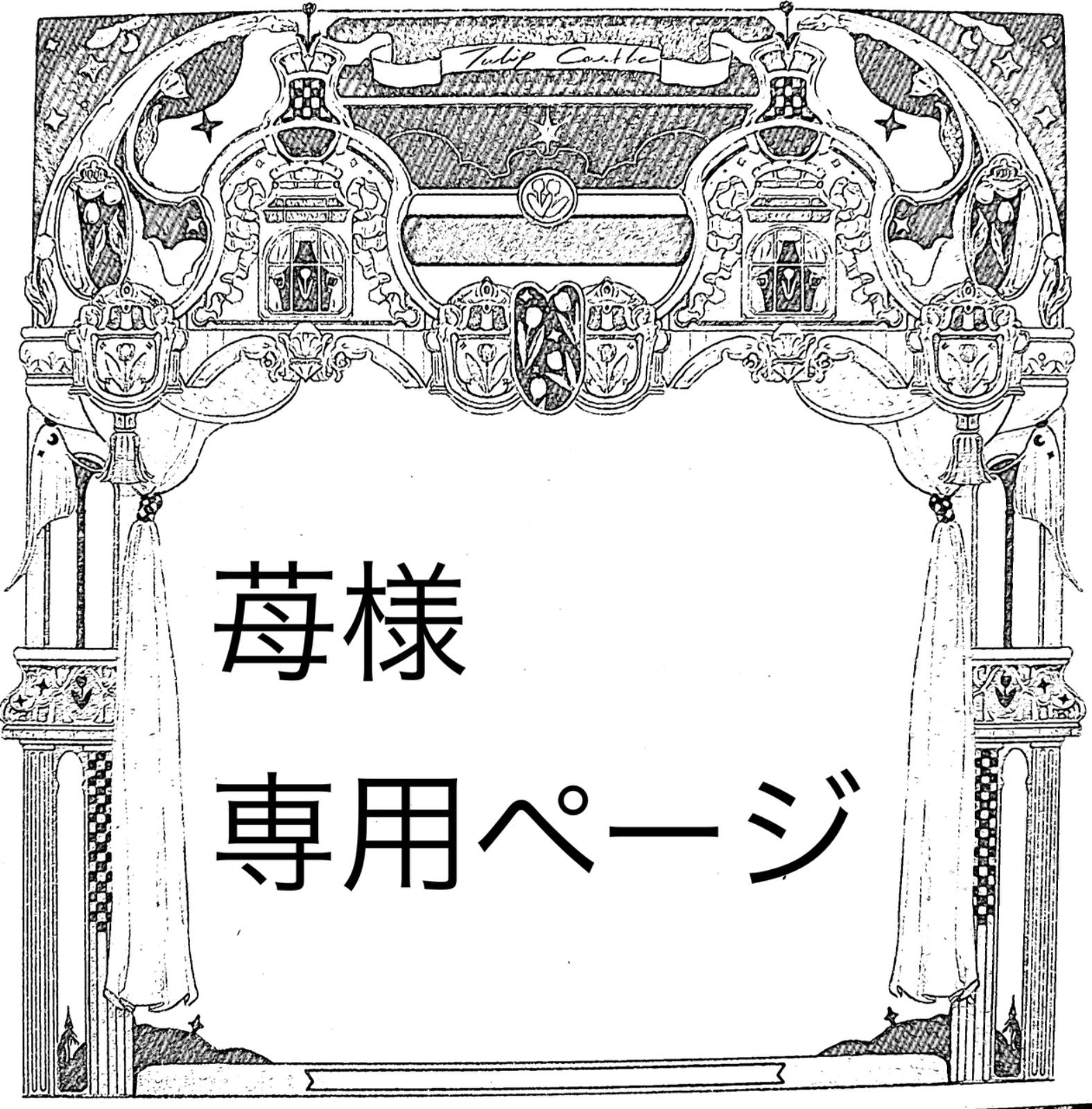 KAZU様27日までお取り置き 苺様専用ページ いちご様 いちご様専用 専用ページ 専用ページ（苺様 苺