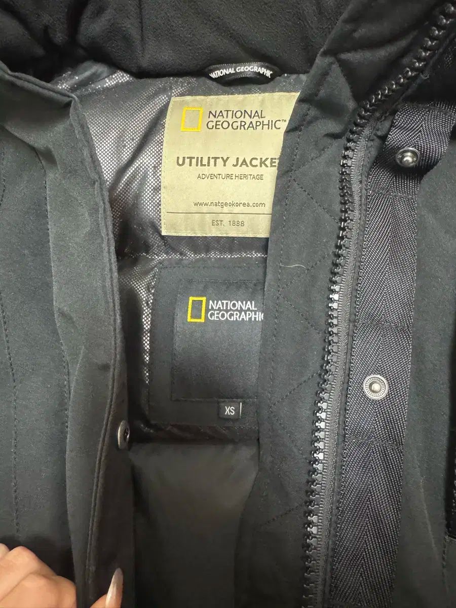 NATIONALGEOCRAPHIC ショートダウン TARUGA フィット良好