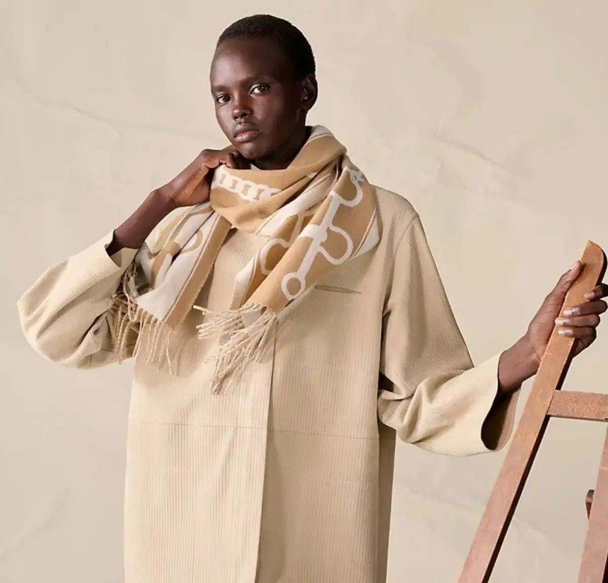 エルメス モールス カシミア マフラー キャメル ホームページ