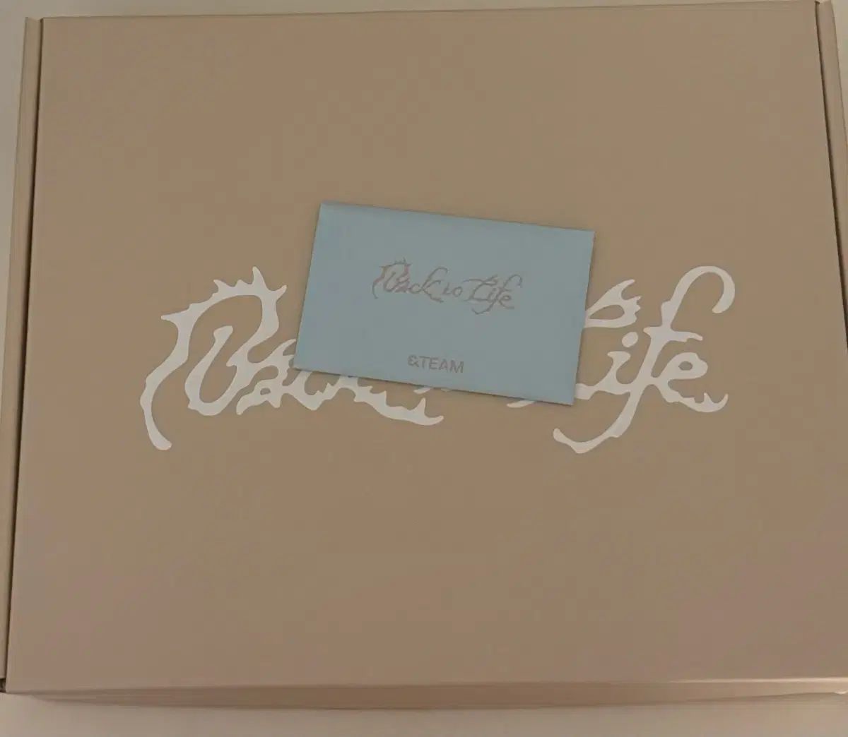 앤팀 バッグトゥーラ ショーケース トレカ