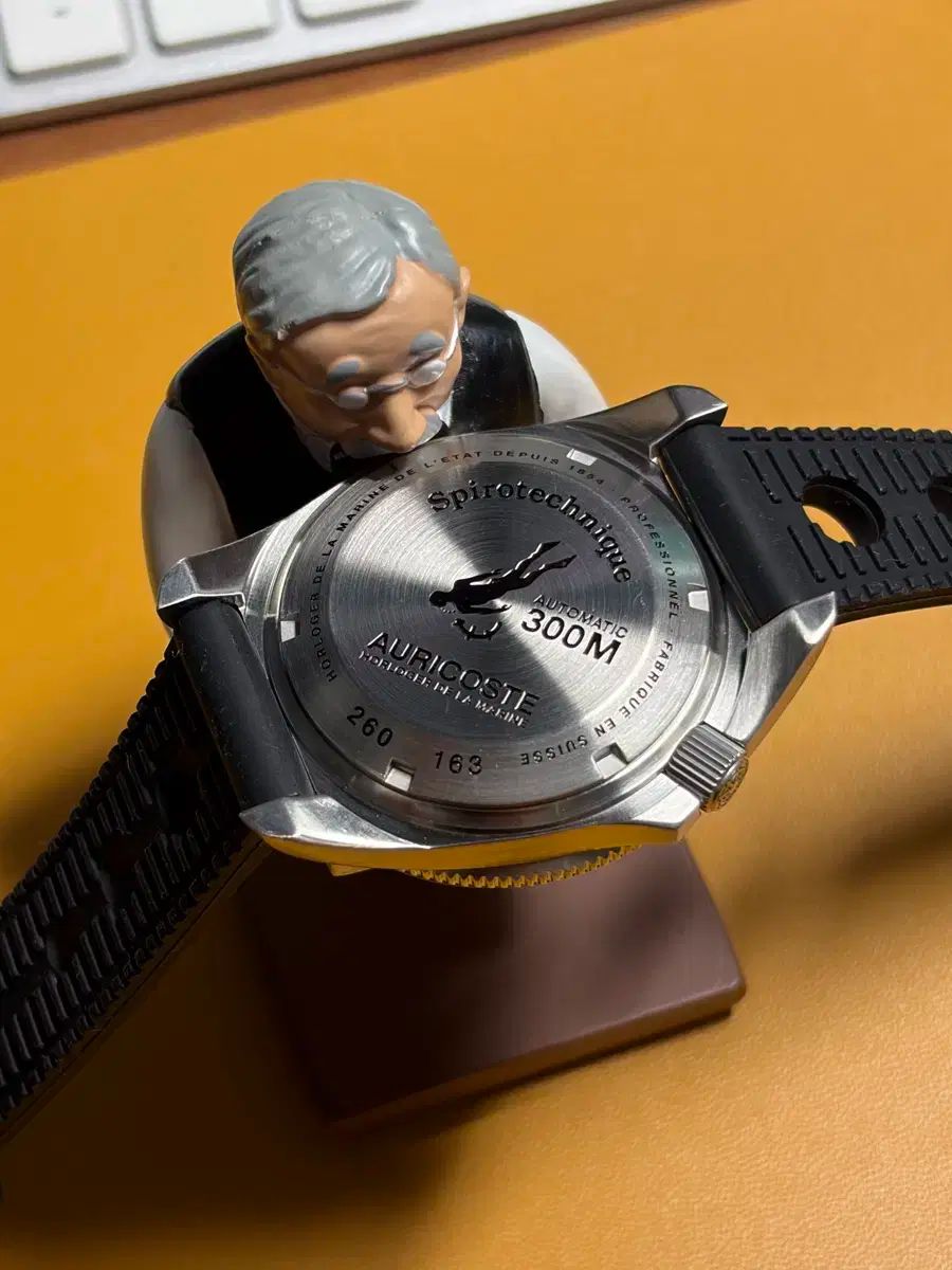 アヒルコースト 300m