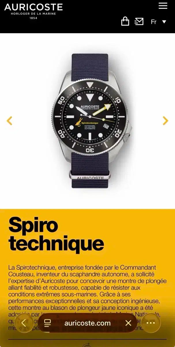 アヒルコースト