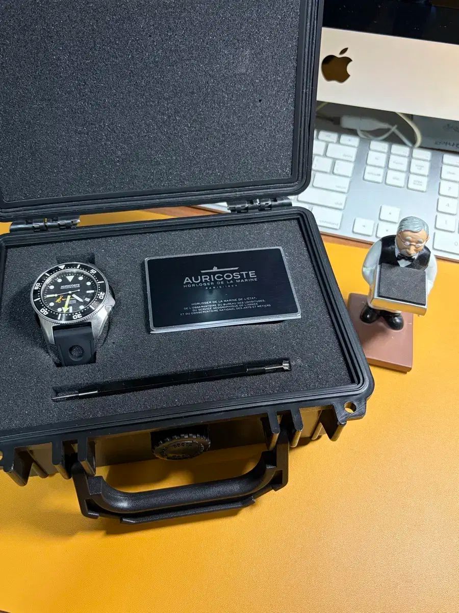 アヒルコースト 300m ダイバー時計