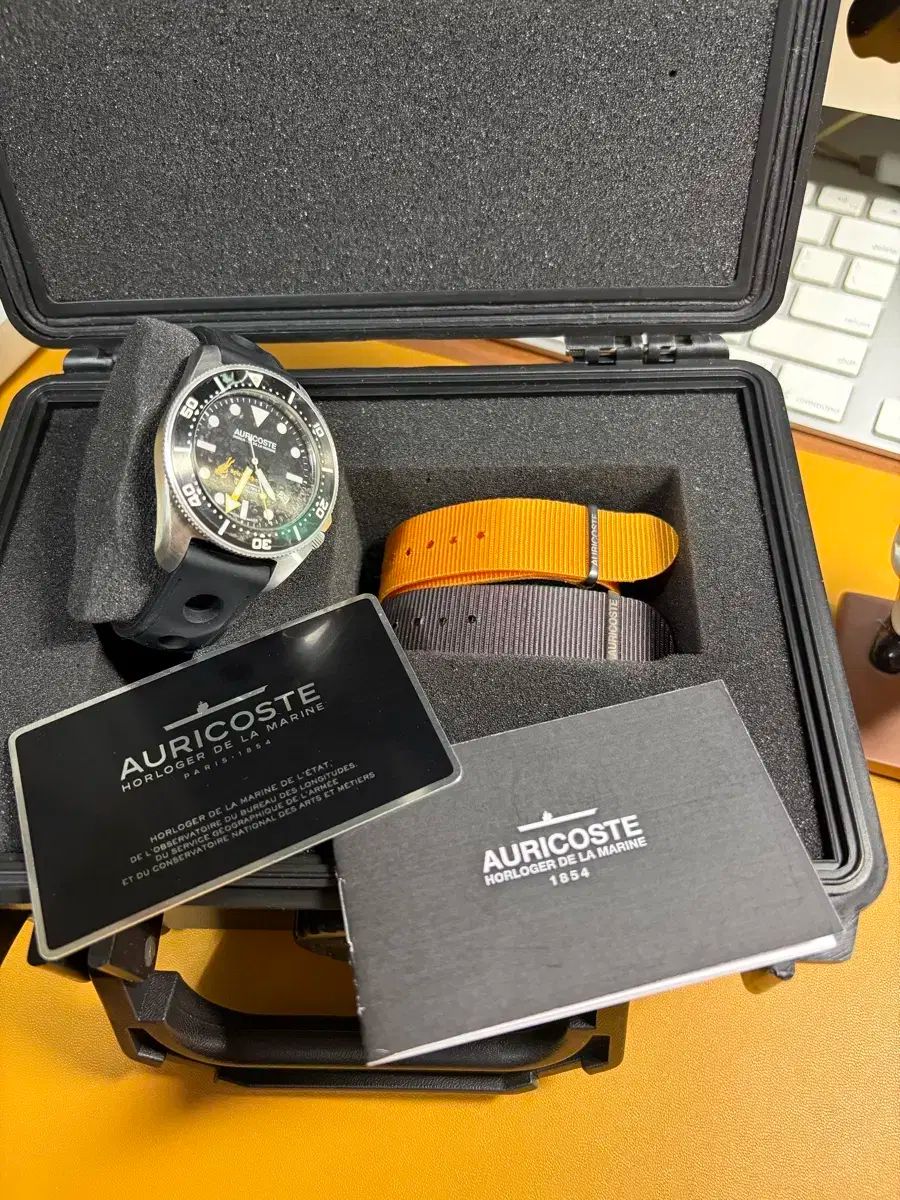 アヒルコースト