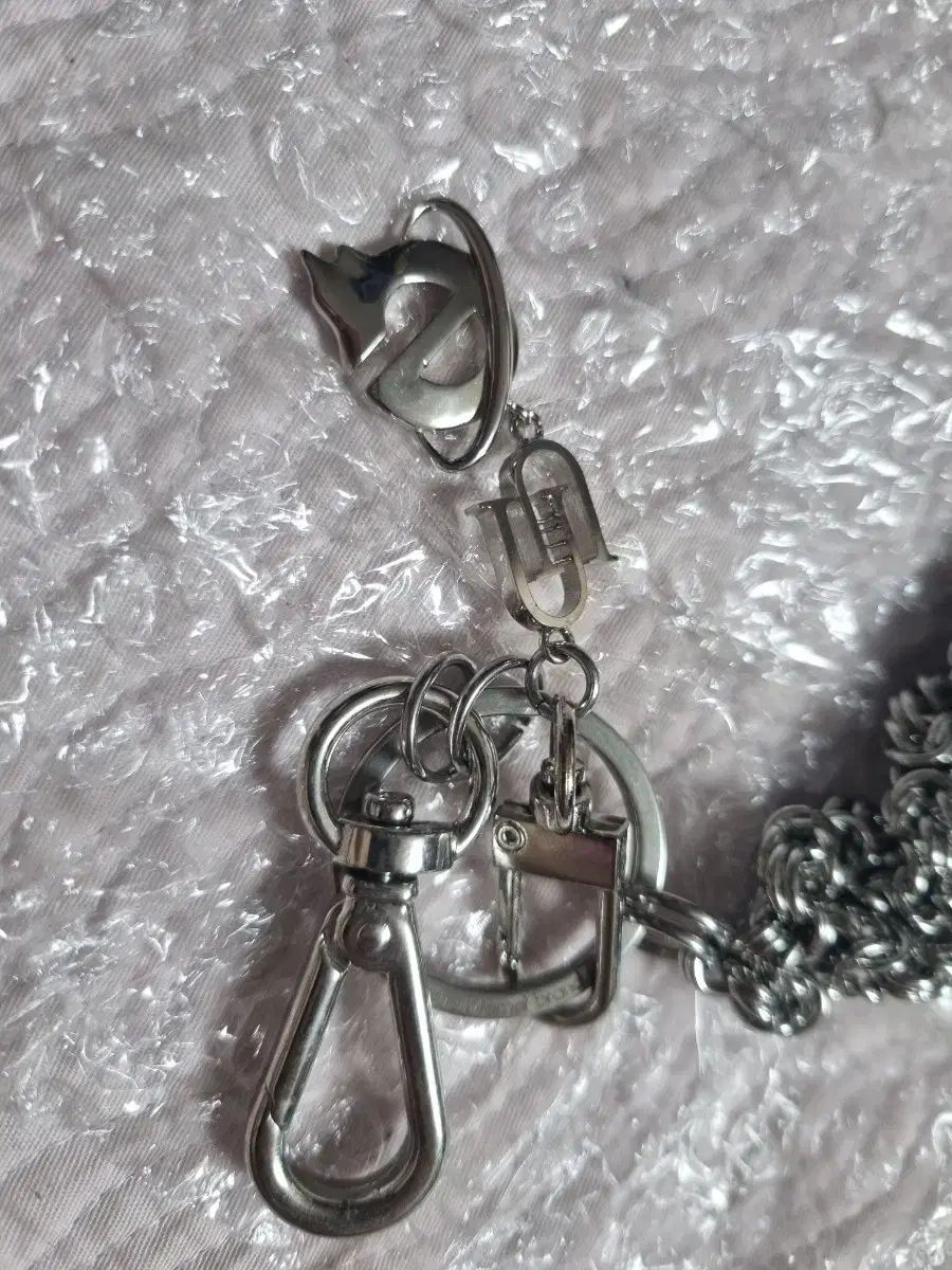 アンダーマイカー leachianus チェーンキーホルダー