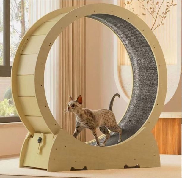 大好評 キャットホイール 76 36.5 90cm 猫 ホイール ランニングマシン グホイールランニング ホイールキャット ローラー 白樺 無垢材 観覧車