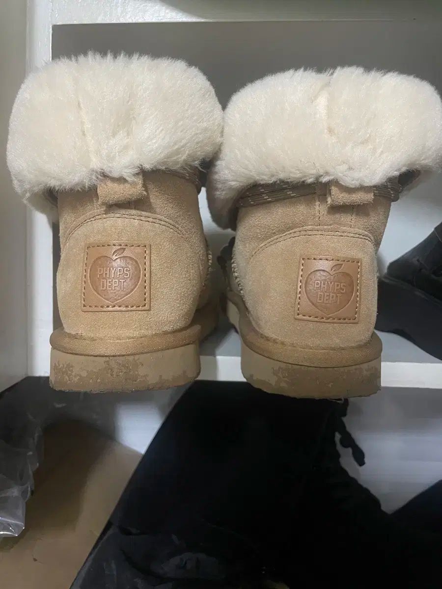 フィジカル エデュケーション