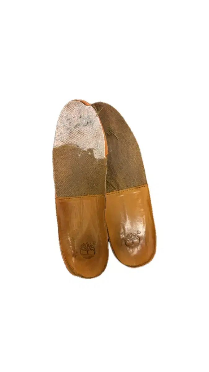 ティンバーランド