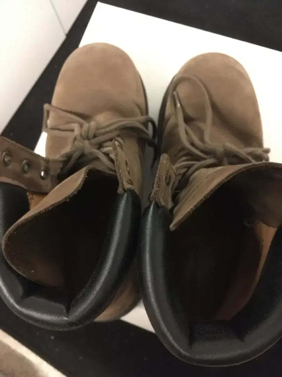 ロストガーデン ルート