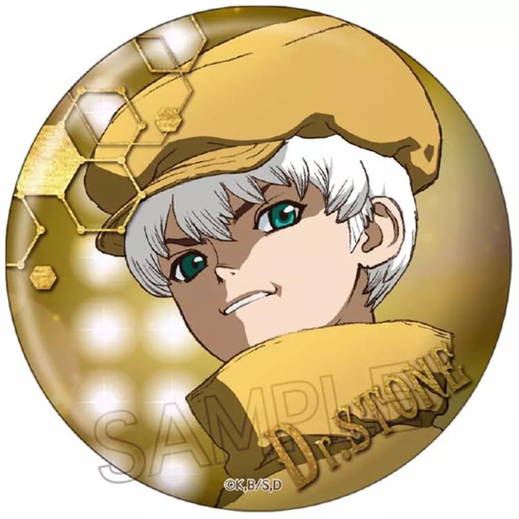 中古】バッジ・ビンズ 西園寺羽京 箔押し缶バッジ 「Dr.STONE」 - メルカリ