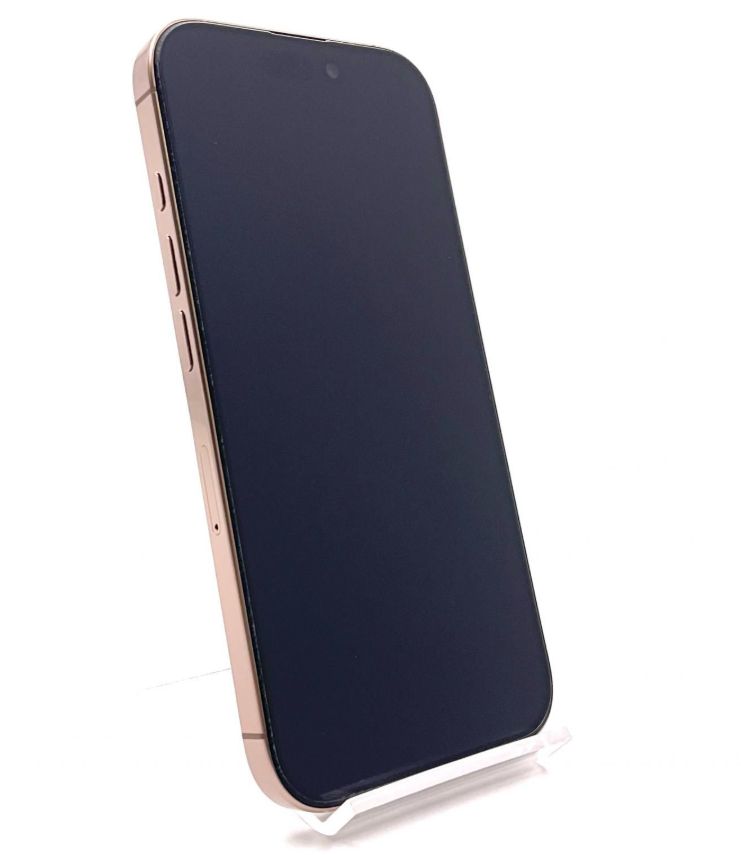 1TB デザートチタニウム