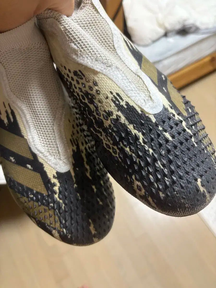 プレデター ミューテーター