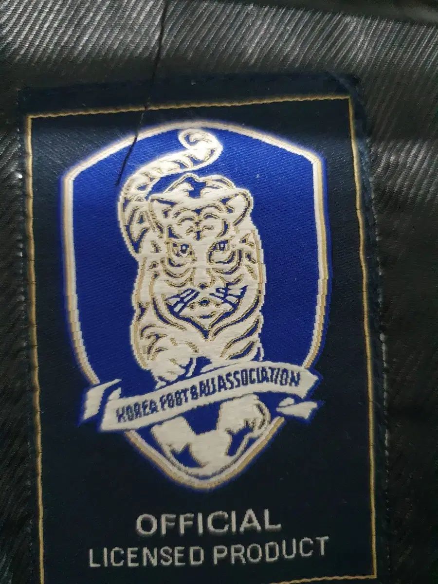 韓国国家代表 ベンチ