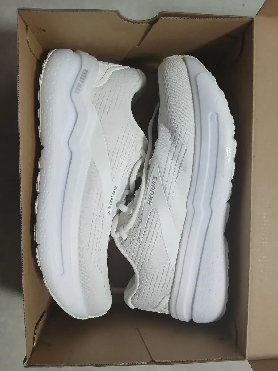 ブルックス ゴーストマックス2 ワイド 265