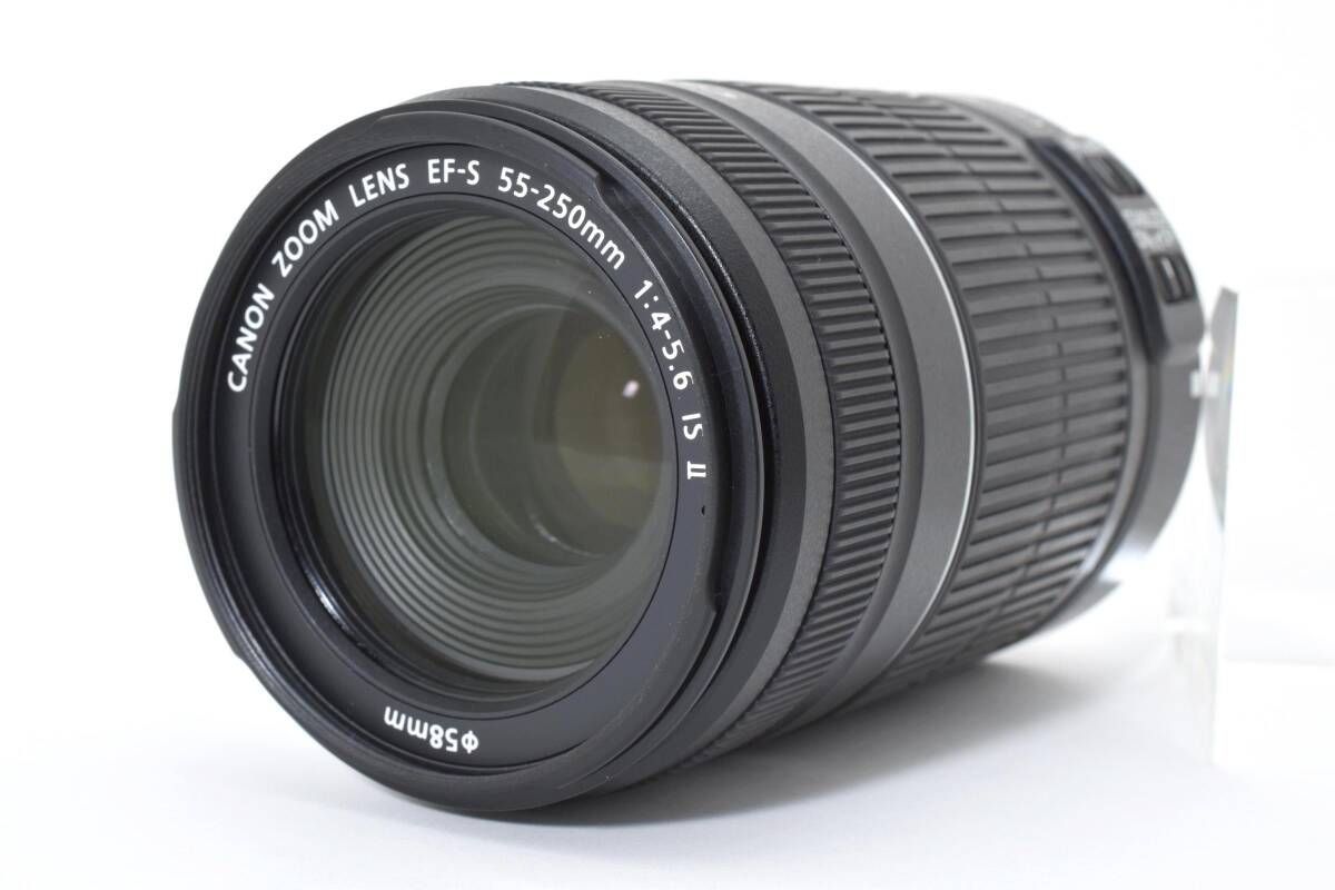 Canon キャノン EF S 55 250 mm 4 5 6 IS II 021