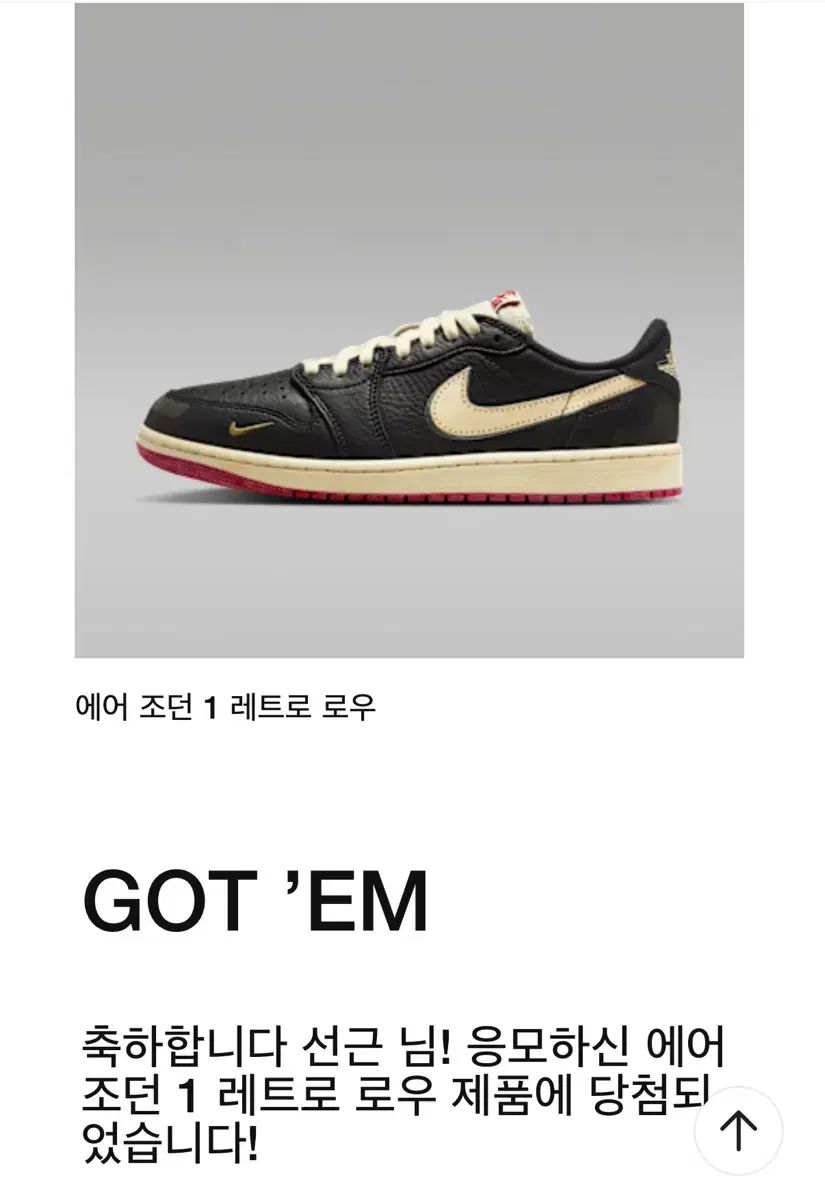 ジョーダン1 x ナイジェル シルベスター ロー OG ベター WITH TIME