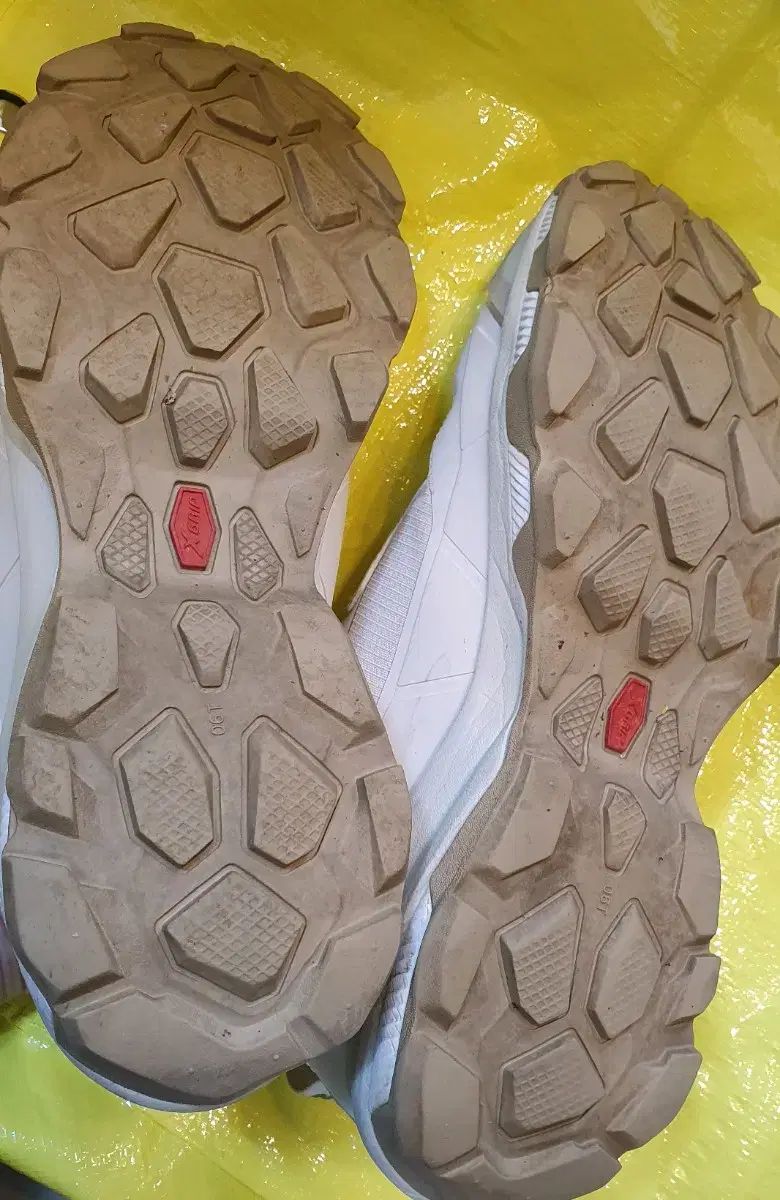 フライハイク ゴアテックス