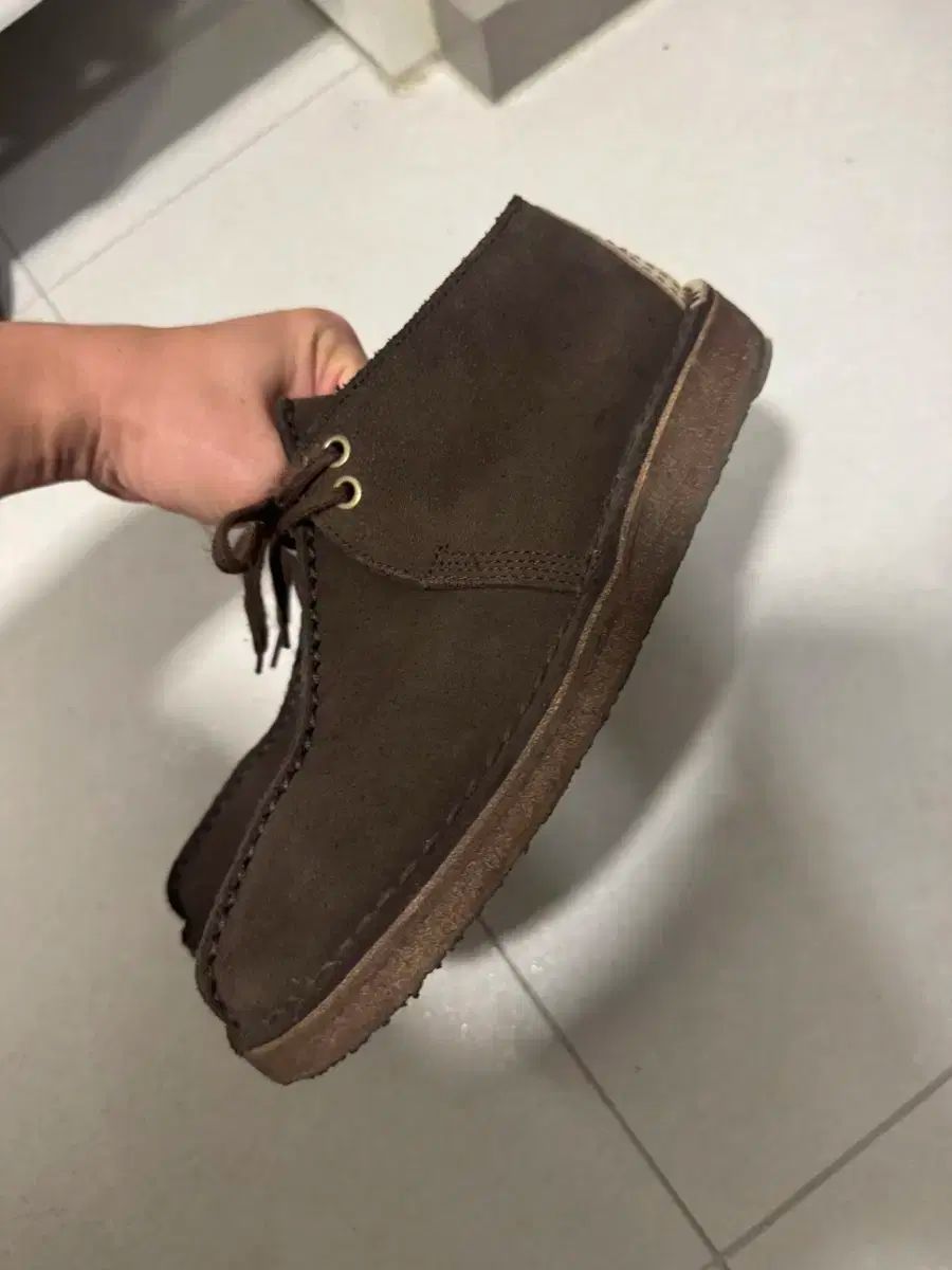 クラークス デザート トラック 255