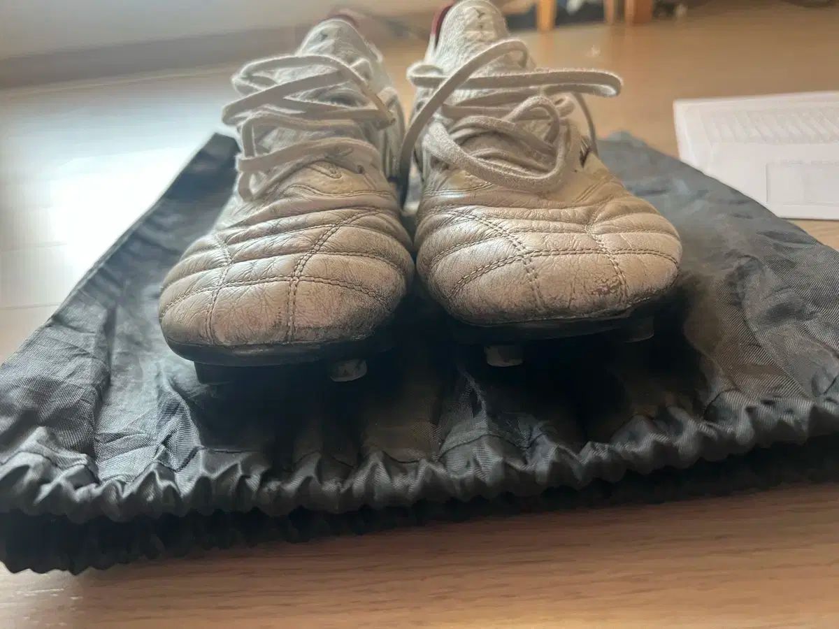 ミズノ モレリア