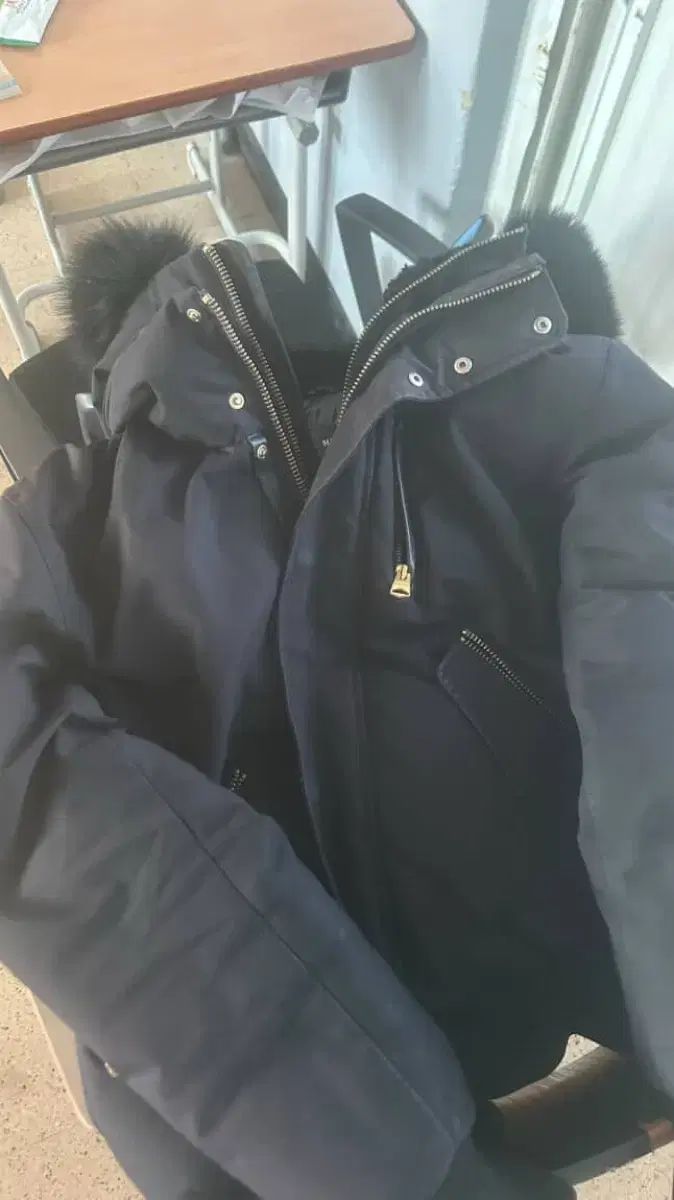 マッカージュ ディクソン ゴールド