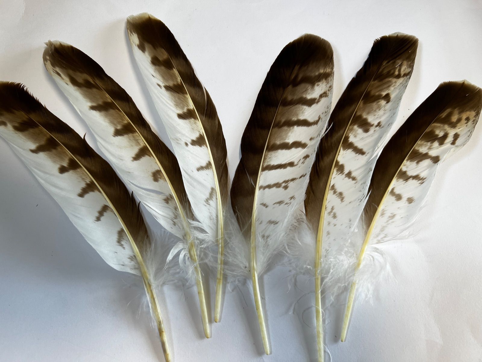 弓道 kaz 954 rrさまオーダー矢