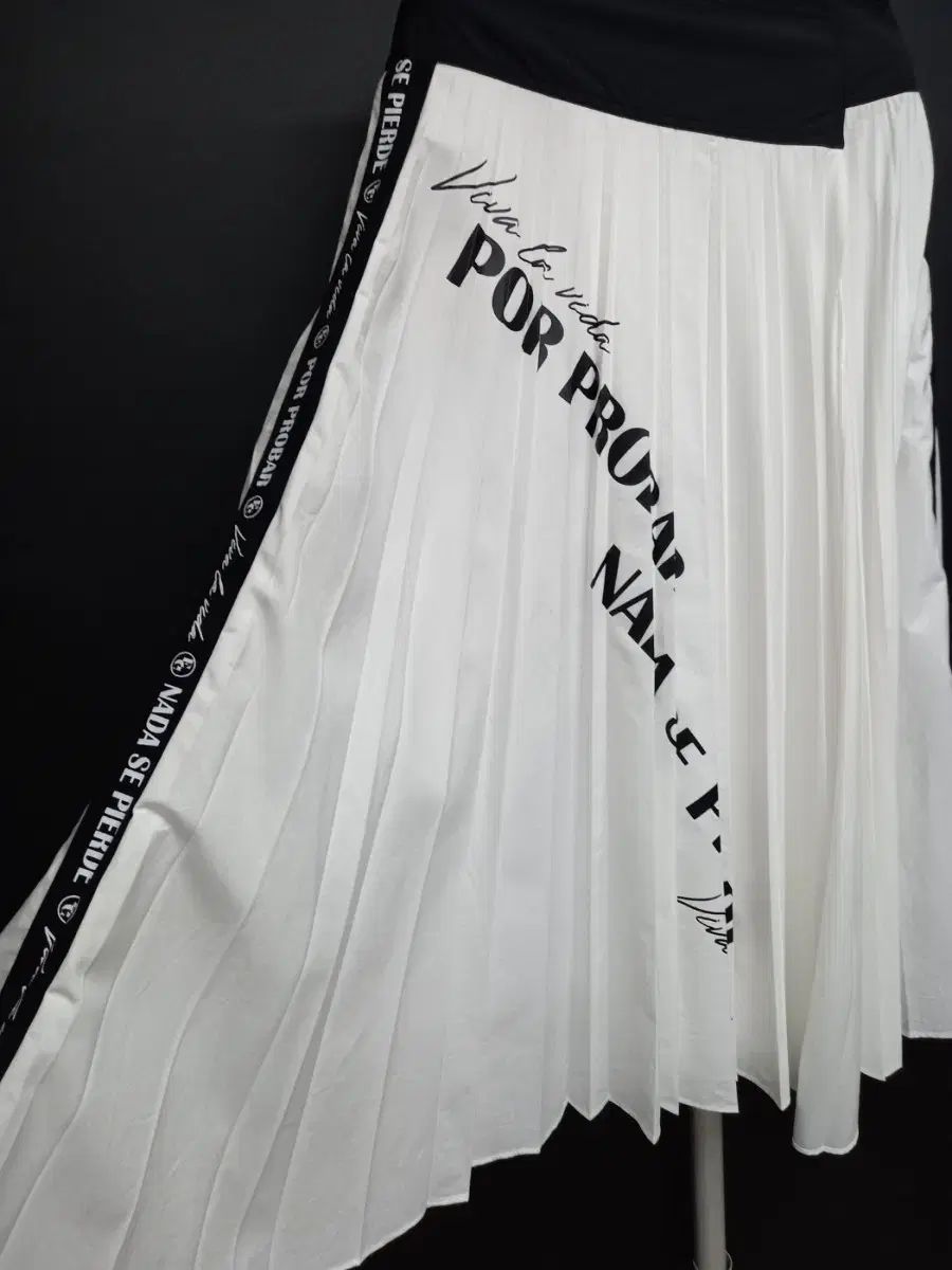 プリーツ ロング