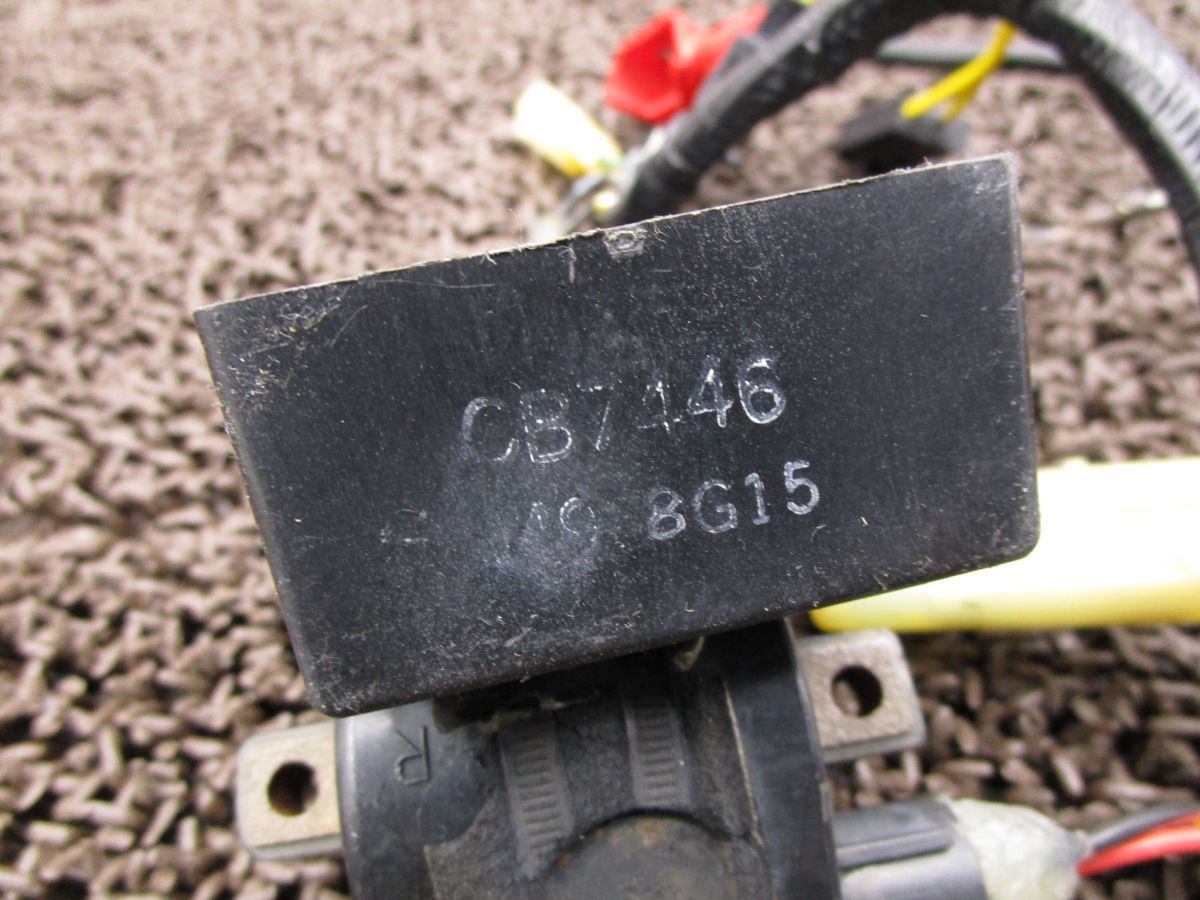 メインハーネス