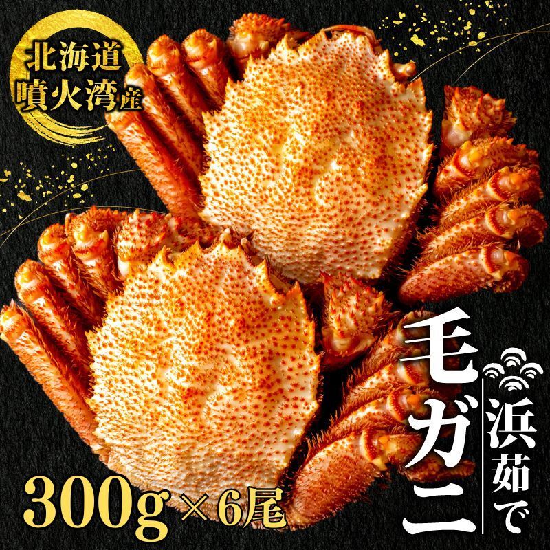 CHANEL まとめ売り 節約