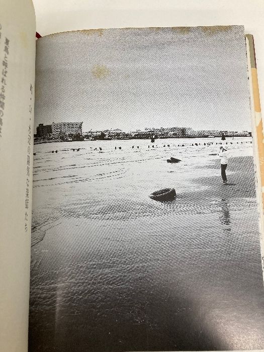 超激得，本物保証 【※イタミ有】私の花鳥賦 文化出版局 加藤 幸子