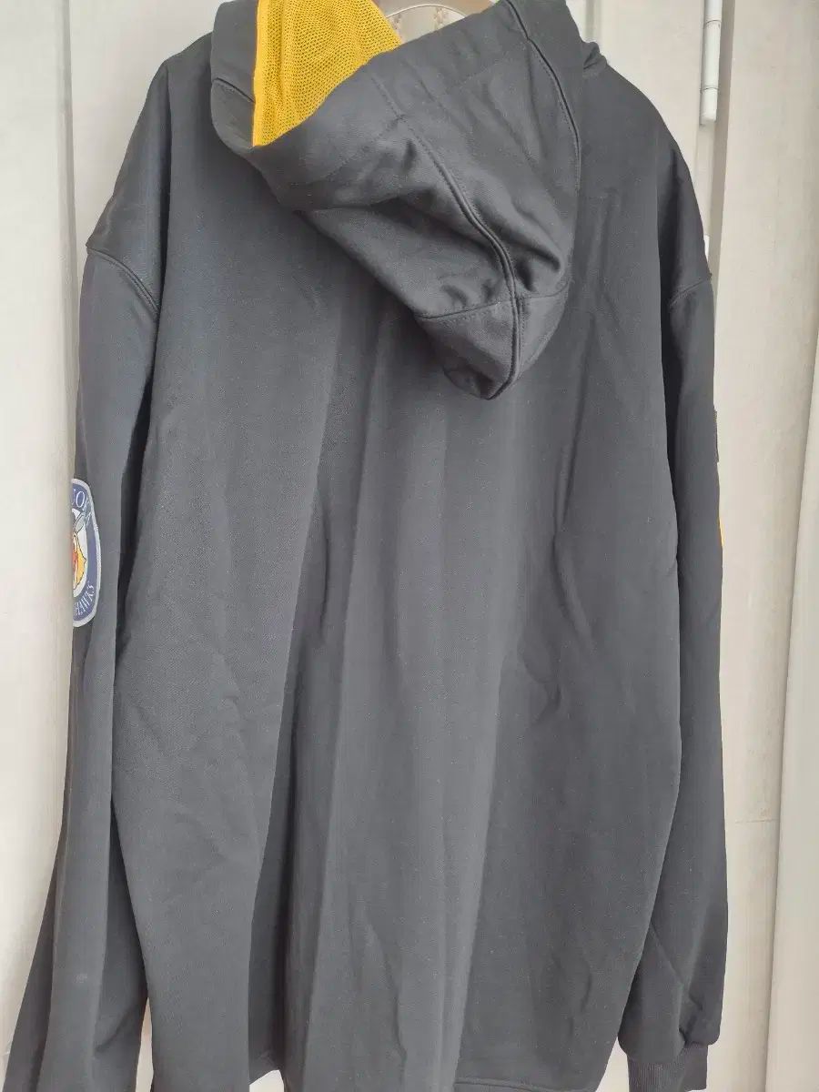 日本野球 ソフトバンクホークス