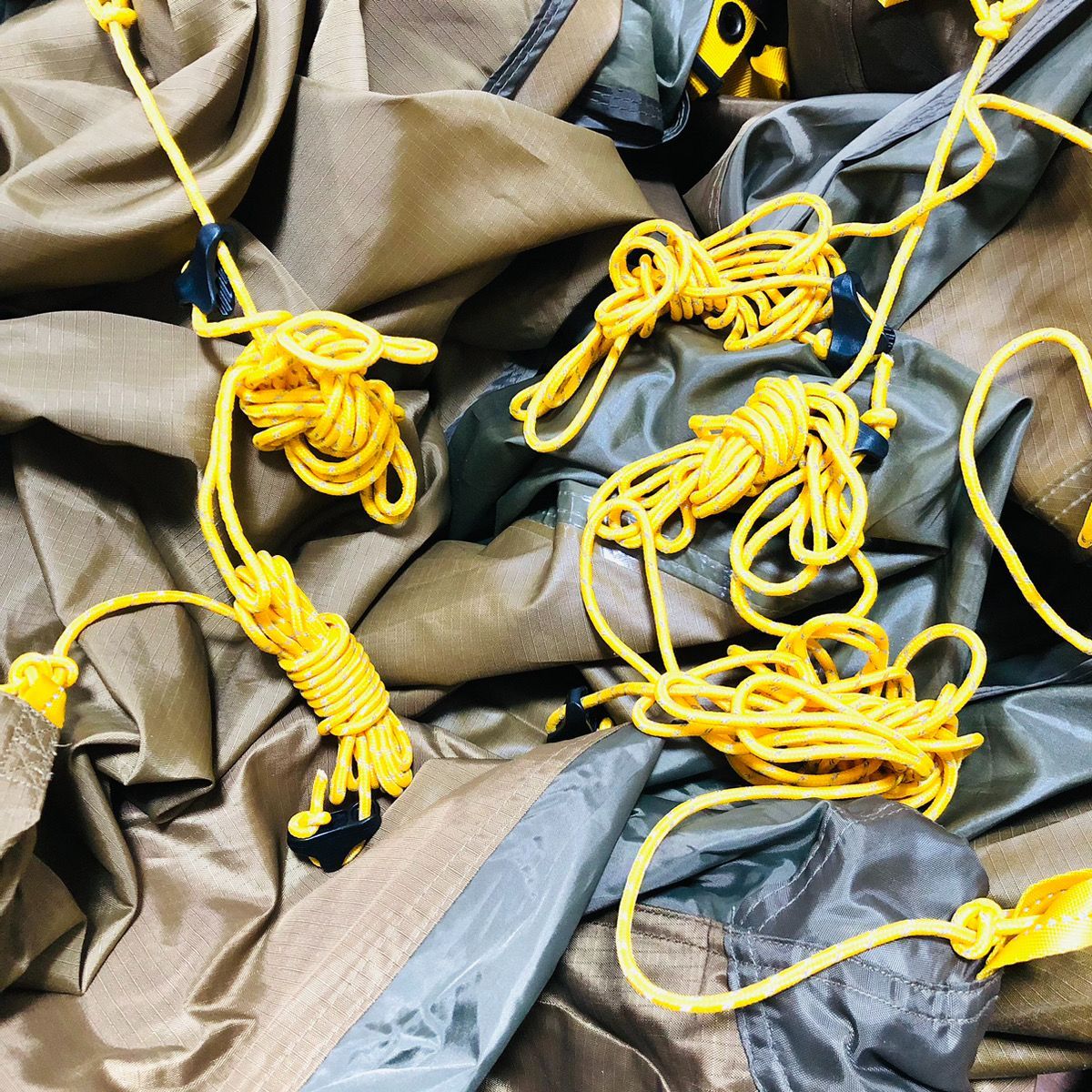 キャニオン 大型