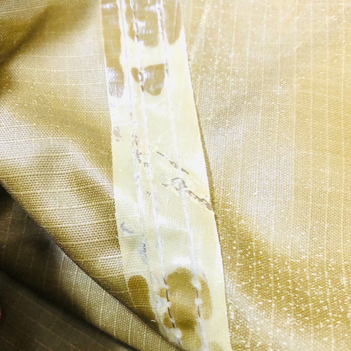 キャニオン 大型