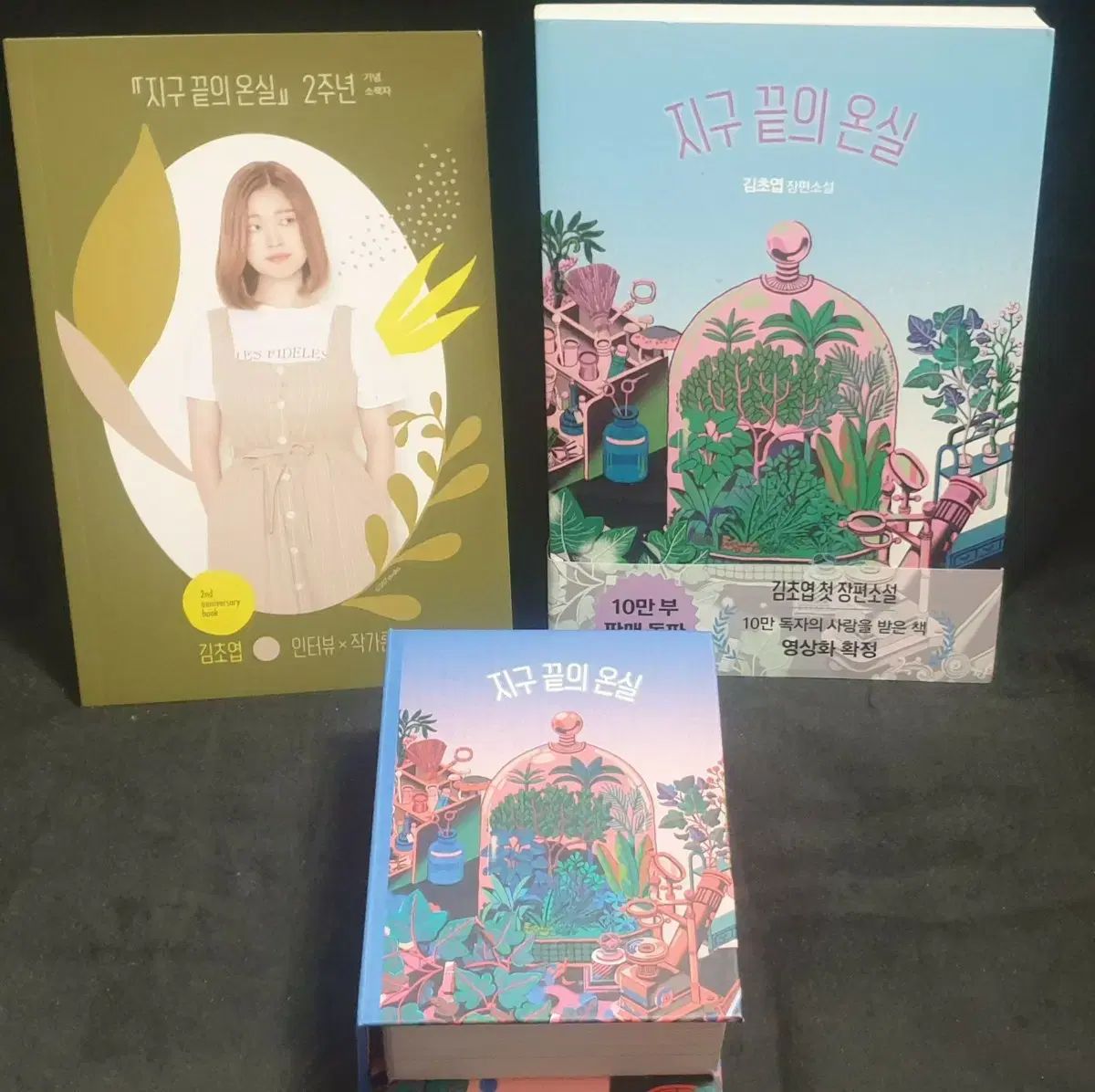 キム チョヨプBESTSELLER 地球の果ての温室 単 グッズ