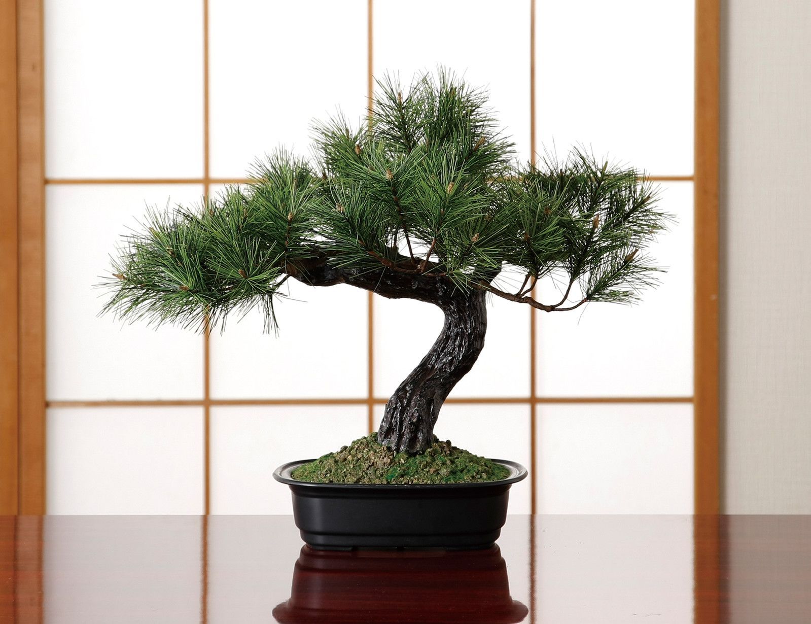 アレンジ盆栽 富士の松 インテリアグリーン フェイクグリーン 光触媒加工