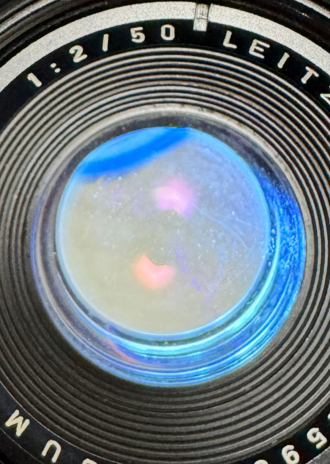  Leica Leitz Summicron R 50 mm F 2 2カム フード付 ドイツ製 ライカRマウント レンズ ズミクロンR 12564フード レンズ(単焦点) カメラ